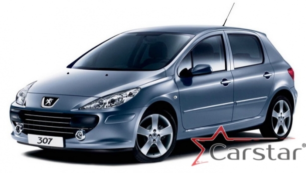 PEUGEOT 206 3D HB Solar [прав передн] 1998- Боковое_FUYAO ( FYG )_6650